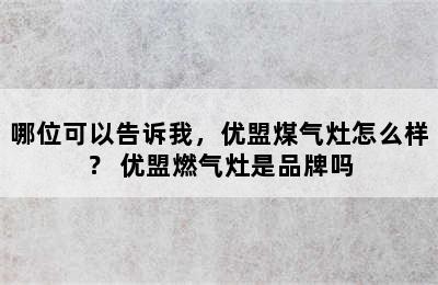 哪位可以告诉我，优盟煤气灶怎么样？ 优盟燃气灶是品牌吗